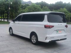 Beijing Ruisheng Ace Ruisheng Wangpai M7 2.0L Long Wheelbase Enjoy Edition 7-Seater - фото 6