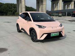 BYD Seagull Flying Edition - ფოტო 1