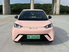 BYD Seagull Flying Edition - ფოტო 2