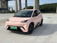 BYD Seagull Flying Edition - ფოტო 3