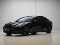 Tesla Model 3 2022 Rear-Wheel Drive - ფოტო 1