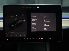 Tesla Model 3 2022 Rear-Wheel Drive - ფოტო 16