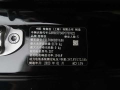 Tesla Model 3 2022 Rear-Wheel Drive - ფოტო 18