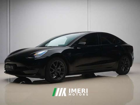 2022 Tesla Model 3 Rear-Wheel Drive