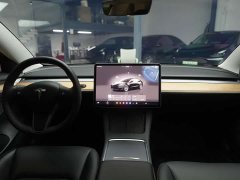 Tesla Model 3 Rear-Wheel Drive - ფოტო 13