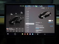 Tesla Model 3 Rear-Wheel Drive - ფოტო 20