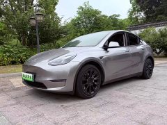 Tesla Model Y Long Range All-Wheel Drive - ფოტო 1