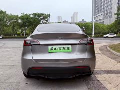 Tesla Model Y Long Range All-Wheel Drive - ფოტო 8