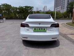 Tesla Model 3 Rear-Wheel Drive - ფოტო 8