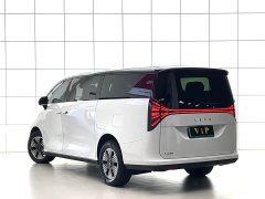 Wing Zhen L380 140-Degree 6-Seat AWD Ultra - ფოტო 4