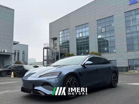 2023 BYD Dolphin Champion Edition 700km Performance Version - ავტომობილი ჩინეთიდან