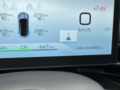 BYD Dolphin Champion Edition 700km Performance Version - ფოტო 11