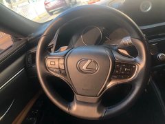Lexus ES 2021 300h Excellence - ფოტო 20