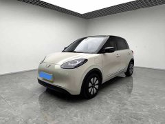 Wuling Binguo 410km Lingxi Premium Edition - ფოტო 1