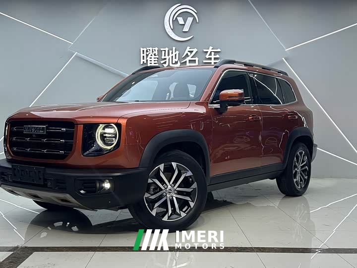 Great Wall Dachshund 1.5T DCT Two-Wheel Drive Malinois-Wangcai Edition