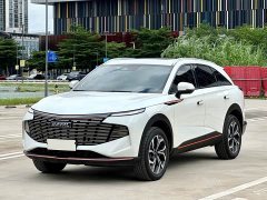 Haval Divine Beast 1.5T Smart Enjoy Edition - ფოტო 1