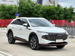 Haval Divine Beast 1.5T Smart Enjoy Edition - ფოტო 3
