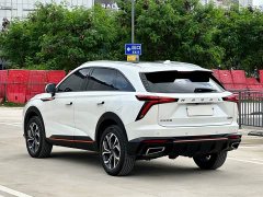 Haval Divine Beast 1.5T Smart Enjoy Edition - ფოტო 6