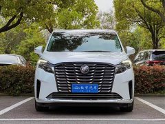 Buick GL8 ES Luxe Comfort - ფოტო 2