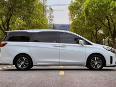 Buick GL8 ES Luxe Comfort - ფოტო 4