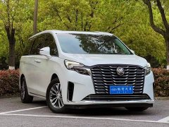 Buick GL8 ES Luxe Comfort - ფოტო 9