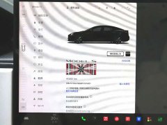 Tesla Model S Tri-Motor All-Wheel Drive Plaid - ფოტო 14