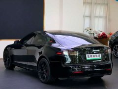 Tesla Model S Tri-Motor All-Wheel Drive Plaid - ფოტო 19