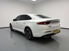 Geely Xingui Xingrui 2.0T Diesel Spacetime Edition Bright Moon - ფოტო 6