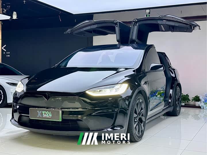 Tesla Model X Dual Motor All-Wheel Drive - ავტომობილი ჩინეთიდან