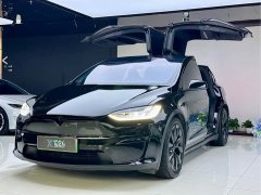 Tesla Model X Dual Motor All-Wheel Drive - ფოტო 1
