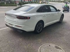 Geely Xingui Xingrui 2.0T Diesel Luxury - ფოტო 9