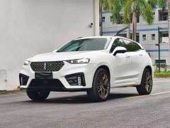 Great Wall WEY VV7 2020 2.0T Flagship - ფოტო 1