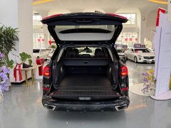 BMW X5 xDrive 30Li Luxury M Sport Package - ფოტო 10