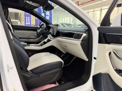BYD Song Plus New Energy 2021 DM-i 110KM Flagship - ფოტო 11