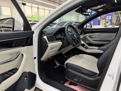 BYD Song Plus New Energy 2021 DM-i 110KM Flagship - ფოტო 9