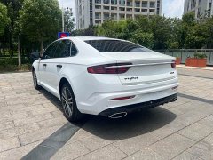 Geely Xingui Xingrui 2.0T Diesel Premium Edition - ფოტო 13