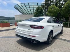 Geely Xingui Xingrui 2.0T Diesel Premium Edition - ფოტო 15