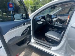 Geely Xingui Xingrui 2.0T Diesel Premium Edition - ფოტო 4
