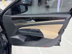 Volkswagen Passat 330TSI Starry Sky Luxury Edition - ფოტო 4