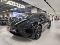 Tesla Model Y Rear-Wheel Drive - ფოტო 1