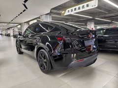 Tesla Model Y Rear-Wheel Drive - ფოტო 14
