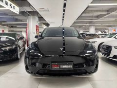 Tesla Model Y Rear-Wheel Drive - ფოტო 2