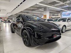 Tesla Model Y Rear-Wheel Drive - ფოტო 3