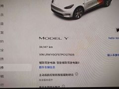 Tesla Model Y Rear-Wheel Drive - ფოტო 9