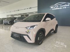 BYD Seagull 305km Freedom Edition - ფოტო 1