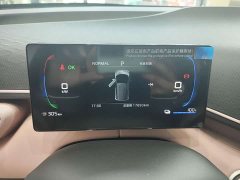 BYD Seagull 305km Freedom Edition - ფოტო 11