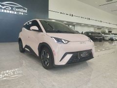BYD Seagull 305km Freedom Edition - ფოტო 3