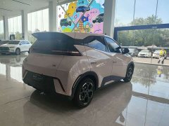 BYD Seagull 305km Freedom Edition - ფოტო 5