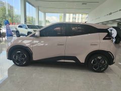 BYD Seagull 305km Freedom Edition - ფოტო 8