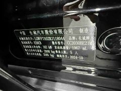 Tank 300 2024 2.0T Conqueror - ფოტო 13